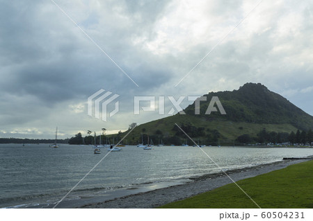 ニュージーランド　タウンランガ　マウント・マウンガヌイ　マウアオの丘 60504231