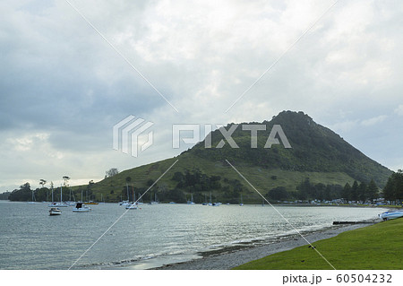 ニュージーランド　タウンランガ　マウント・マウンガヌイ　マウアオの丘 60504232