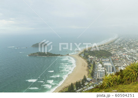 ニュージーランド　タウンランガ　マウント・マウンガヌイ　マウアオの丘　麓からの風景 60504251