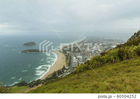 ニュージーランド　タウンランガ　マウント・マウンガヌイ　マウアオの丘　麓からの風景 60504252