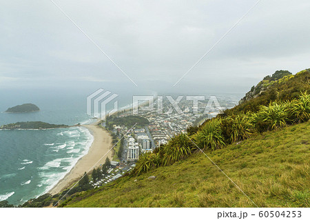 ニュージーランド　タウンランガ　マウント・マウンガヌイ　マウアオの丘　麓からの風景 60504253