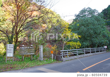 畑の観音 60504739