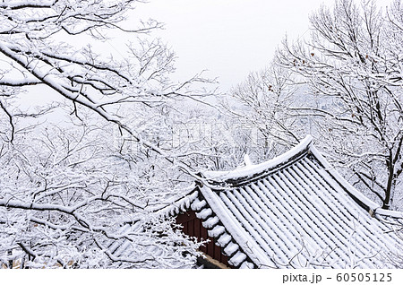 韓国の風景 節 山寺 60505125