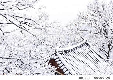 韓国の風景 節 山寺 60505126