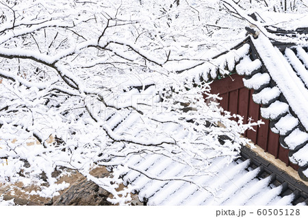 韓国の風景 節 山寺 60505128