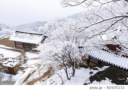 山寺 冬 韓国の風景 60505131