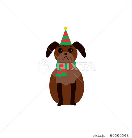 Cute brown pug stands in a Christmas striped hat, concept of celebrating Christmas and New Year. Cute brown pug stands in a Christmas striped hat, concept of celebrating Christmas and New Year. 60506548