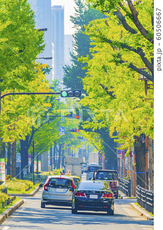 大阪 御堂筋    大阪 御堂筋    60506667