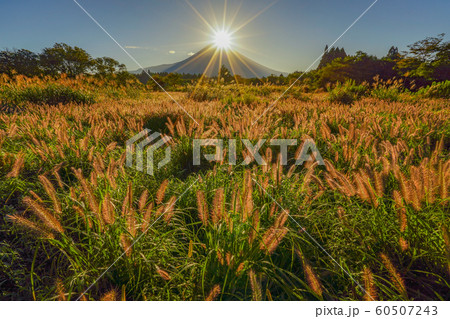 富士山 秋 ダイヤモンド富士 富士山 秋 ダイヤモンド富士 60507243