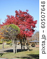 千秋公園の紅葉 60507648