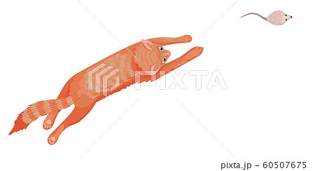 Red cat runs for a mouse, hunting for food. Vector illustration Red cat runs for a mouse, hunting for food. Vector illustration 60507675