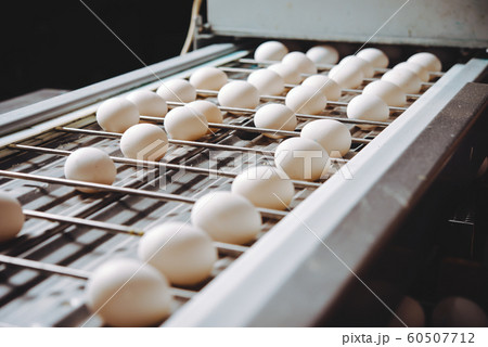 egg factory plant agriculture poultry chicken farm 60507712