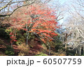 千秋公園の紅葉 60507759