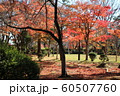 千秋公園の紅葉 60507760