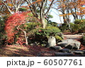 千秋公園の紅葉 60507761