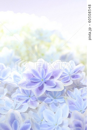 背景素材 アジサイ 万華鏡 青花の写真素材