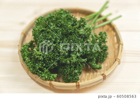 パセリ 60508563