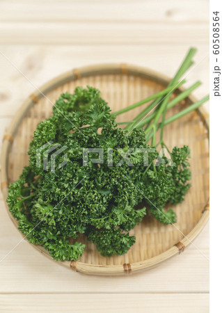パセリ パセリ 60508564