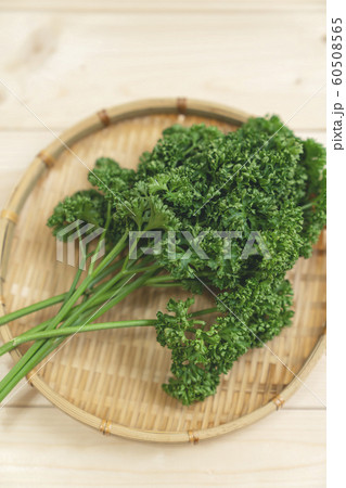 パセリ 60508565