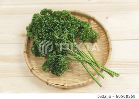 パセリ 60508569