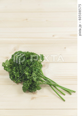パセリ 60508575