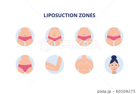 Femal Body Parts / Female Diagram Template Human Body Pictures Science