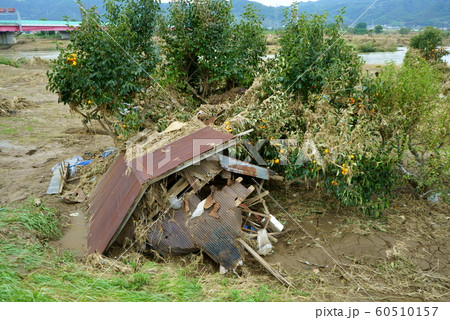 2019年台風19号 千曲川氾濫被害 2019年台風19号 千曲川氾濫被害 60510157