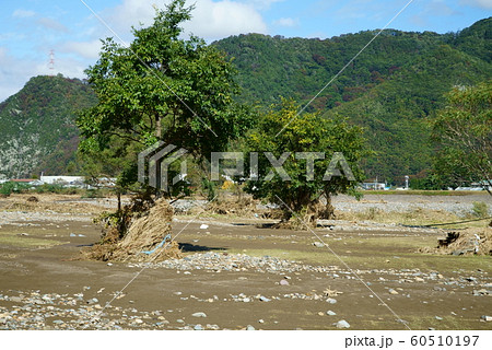 2019年台風19号 千曲川氾濫被害 60510197