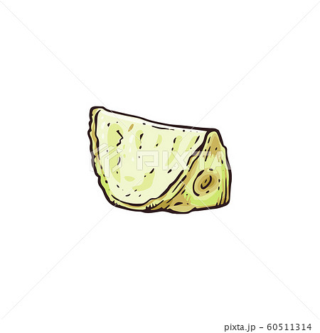 Celery root piece drawing in hand drawn sketch style 60511314