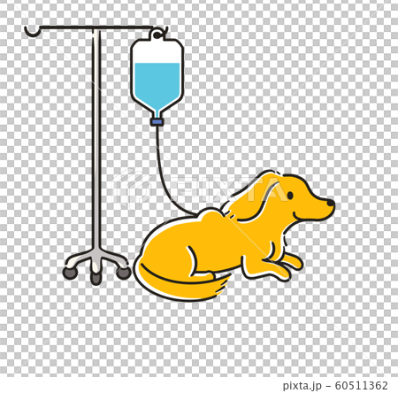 Ducks injection 60511362