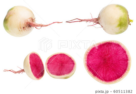 whole and cutted watermelon radishes isolated whole and cutted watermelon radishes isolated 60511382