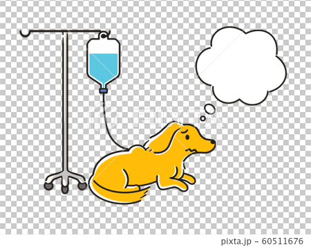 Dachs drip balloon 60511676