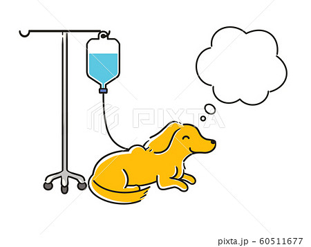 ダックス 点滴 吹き出し 60511677