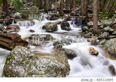 Bridalveil Creek in Yosemite Valley, California 60511694