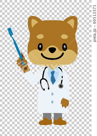 イラスト素材 犬を擬人化したお医者さん 獣医師 のキャラクター 柴犬 歯ブラシ 歯科医のイラスト素材