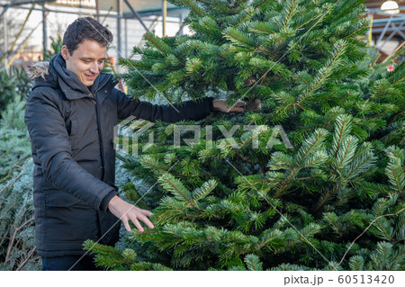 man selects a christmas tree on the markets before Christmas Eve man selects a christmas tree on the markets before Christmas Eve 60513420