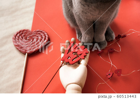 British gray cat sitting on the table with lollipop, garland British gray cat sitting on the table with lollipop, garland 60513443