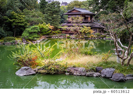 京都御所、九條池と拾翠亭 京都御所、九條池と拾翠亭 60513612