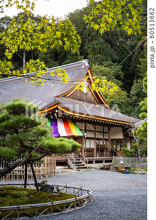 二尊院、五色幕の本堂に「軒端の松」と青もみじ 60513662