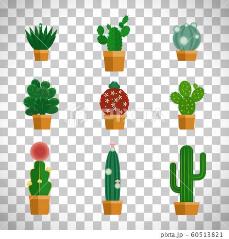 Cactus icons in flat style Cactus icons in flat style 60513821