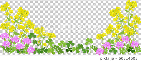 春の草花のフレーム 60514603