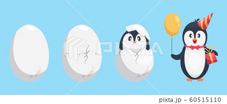 Penguin egg. Birth stages of penguin. Cute cartoon animal newborn vector illustration 60515110