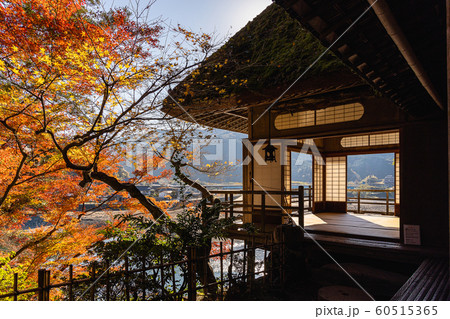 秋の臥龍山荘　不老庵 60515365