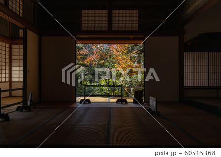 秋の臥龍山荘 臥龍院壱是の間 秋の臥龍山荘 臥龍院壱是の間 60515368