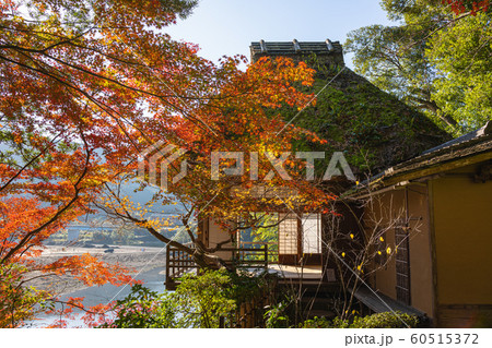 秋の臥龍山荘　不老庵 60515372