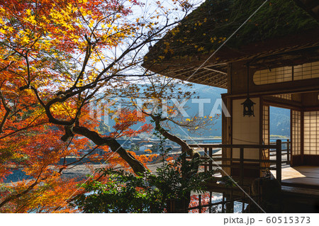 秋の臥龍山荘　不老庵 60515373