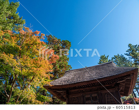 秋晴れの青空と色づき始めた木々　埼玉県新座市平林寺の風景 60515813