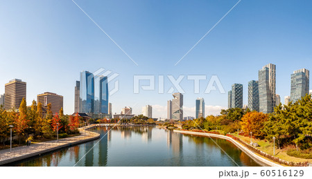 公園 都市 都会 60516129