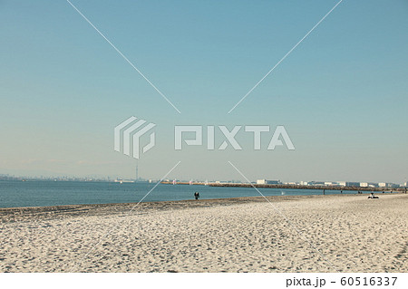 2019白浜になった稲毛海浜 2019白浜になった稲毛海浜 60516337