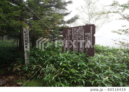 長野県、志賀高原、志賀山、前山湿原、四十八池、ハイキング道路の説明標識 長野県、志賀高原、志賀山、前山湿原、四十八池、ハイキング道路の説明標識 60516439